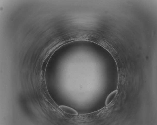 X0000062890338200601171519