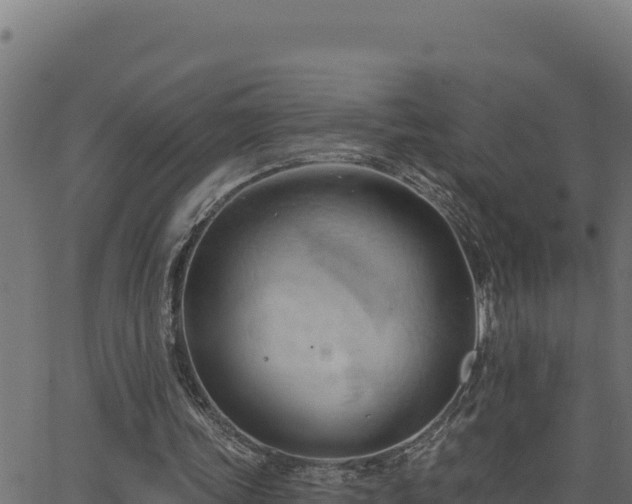 X0000062890339200601171519