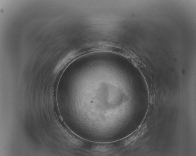 X0000062890341200601171519