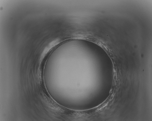 X0000062890343200601171519