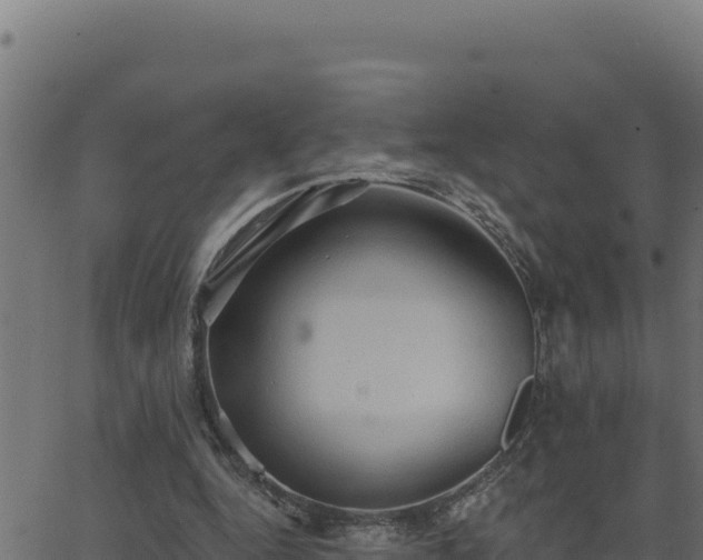 X0000062890344200601171519