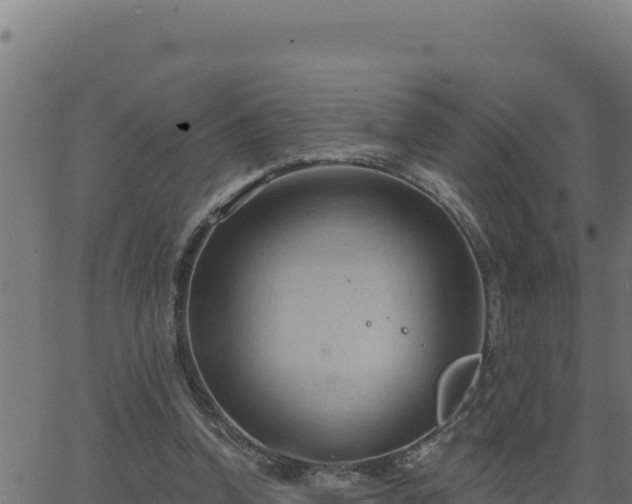 X0000062890346200601171519