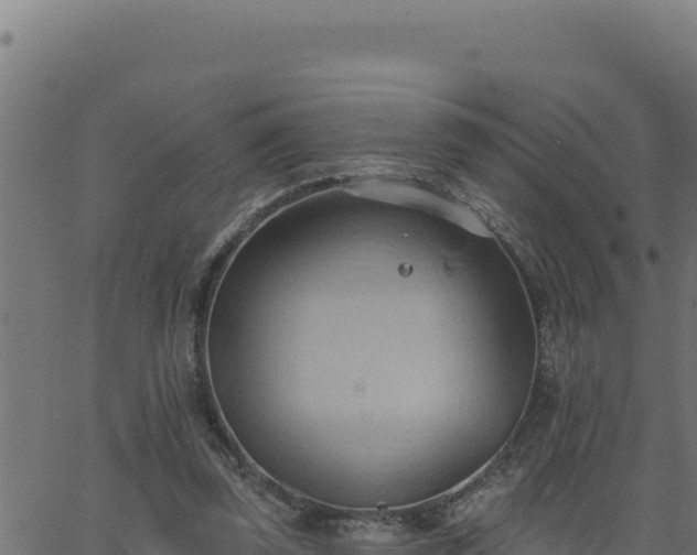 X0000062890347200601171519