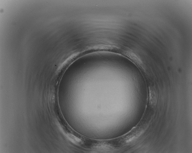 X0000062890348200601171519