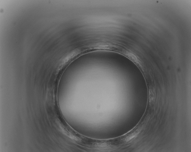 X0000062890349200601171519