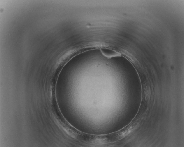 X0000062890350200601171519