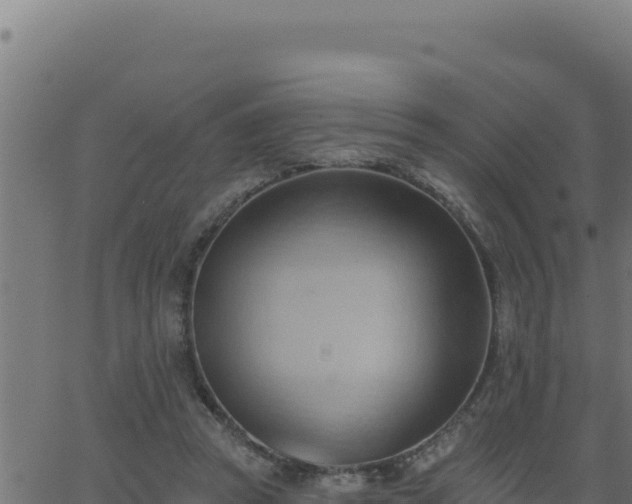 X0000062890353200601171519