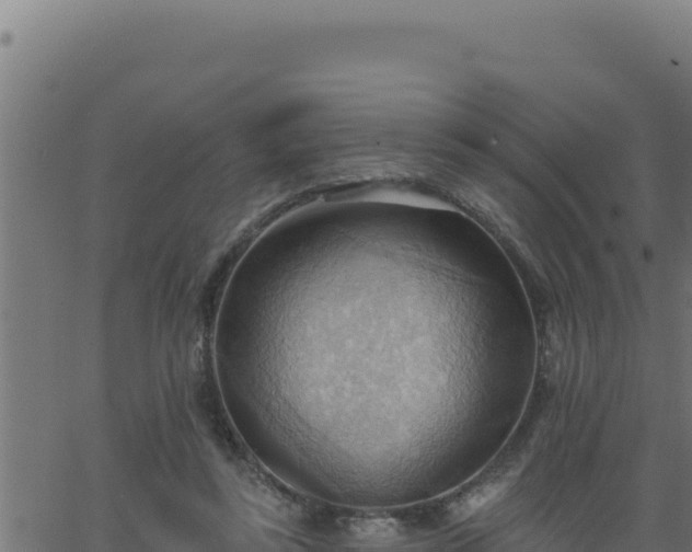 X0000062890355200601171519