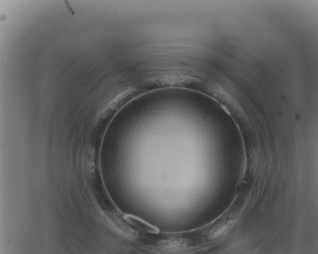 X0000062890356200601171519