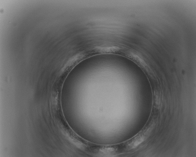 X0000062890357200601171519