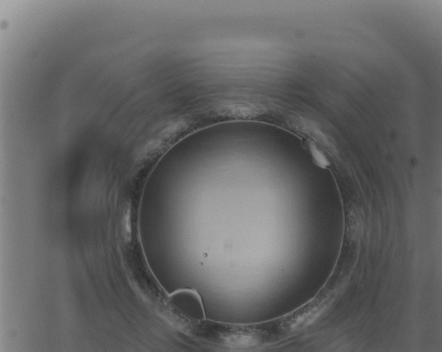 X0000062890358200601171519