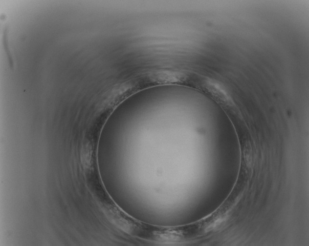 X0000062890359200601171519