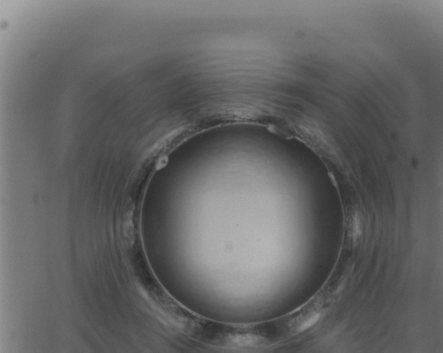 X0000062890360200601171519