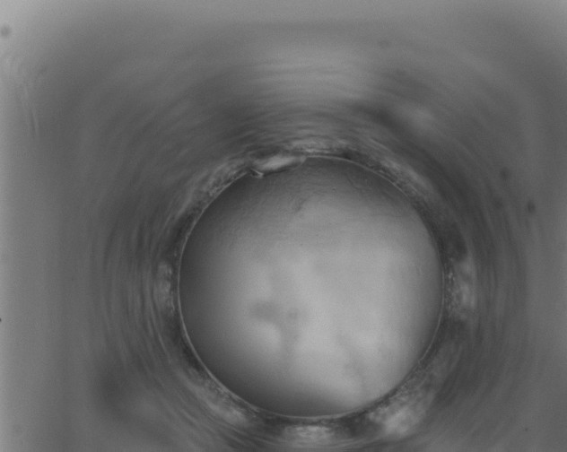 X0000062890361200601171519