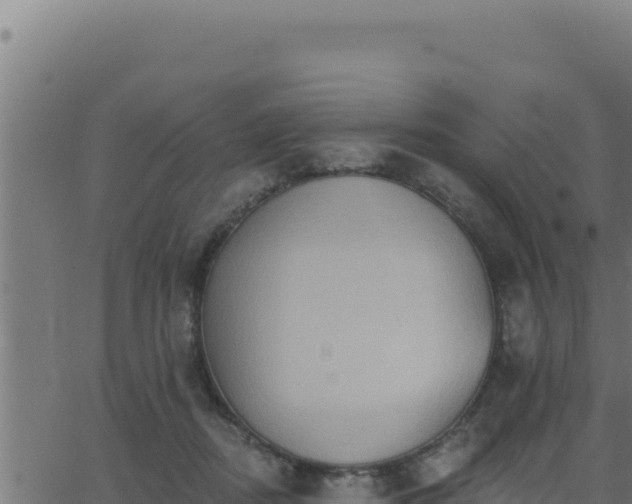 X0000062890362200601171519