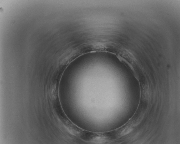 X0000062890364200601171519