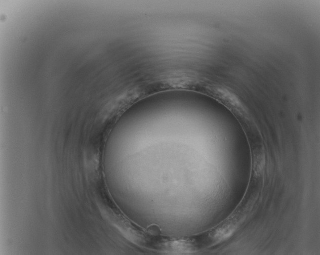 X0000062890365200601171519