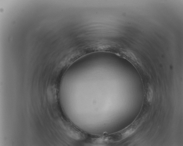 X0000062890366200601171519