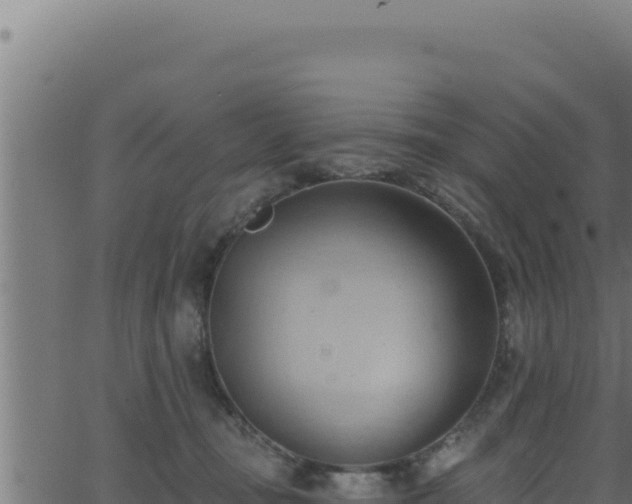 X0000062890371200601171520