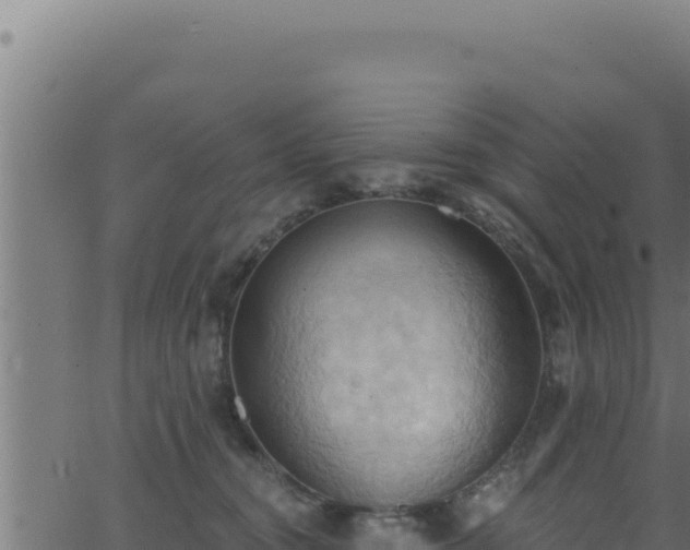 X0000062890372200601171520