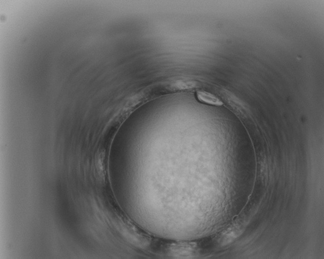 X0000062890373200601171520