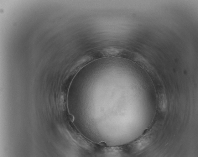 X0000062890378200601171520