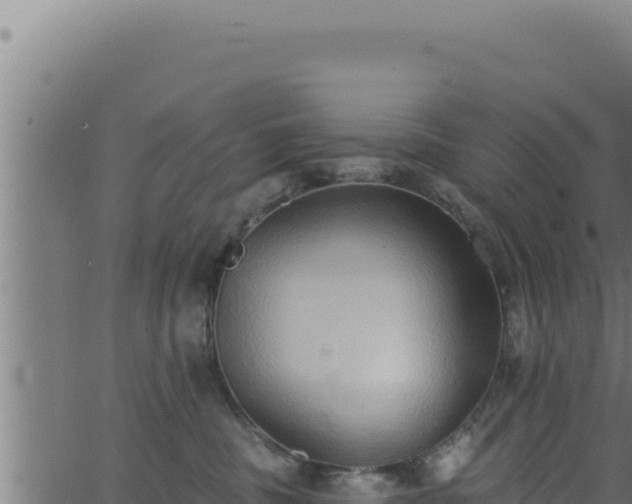 X0000062890379200601171520