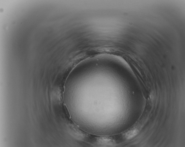 X0000062890380200601171520