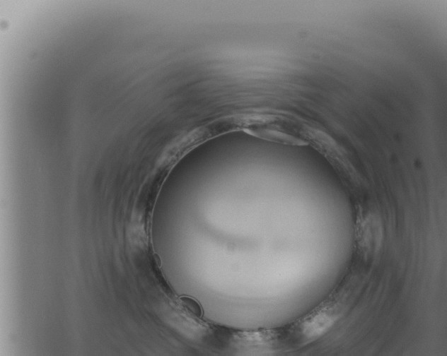 X0000062890381200601171520