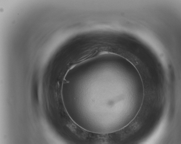 X0000062890382200601171520