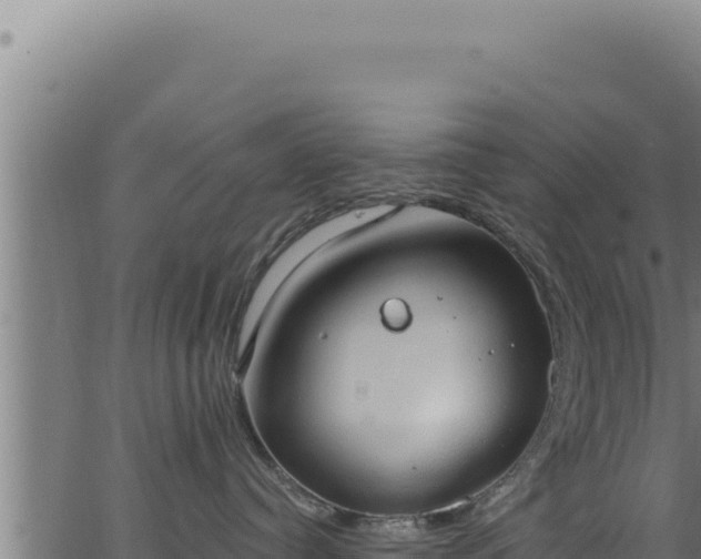 X0000062890384200601171520