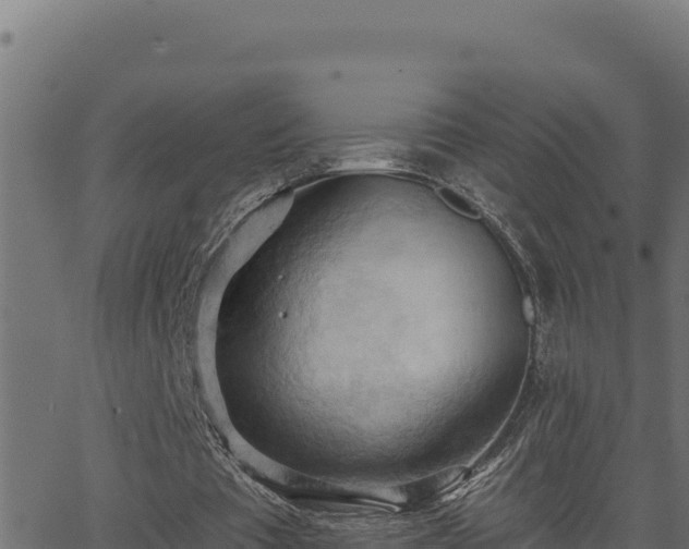 X0000062890385200601171519