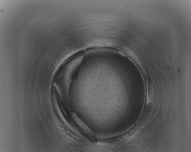 X0000062890387200601171519