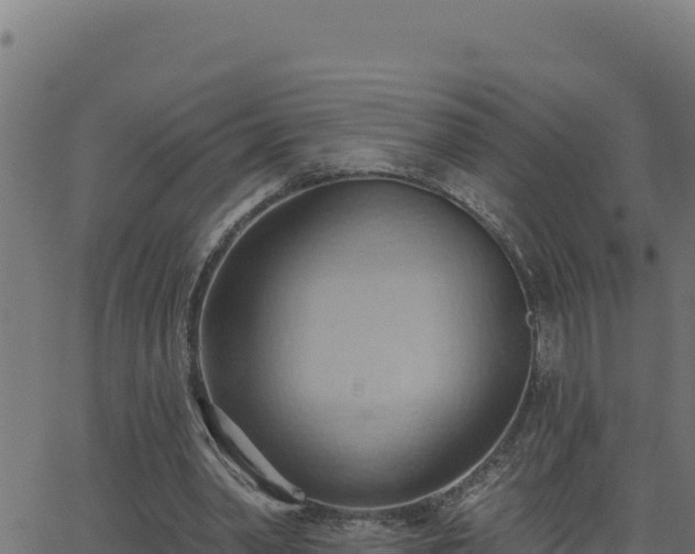 X0000062890390200601171519