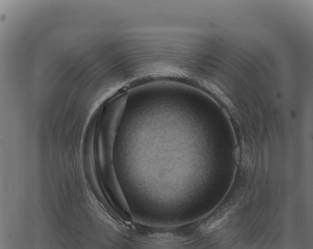 X0000062890391200601171519