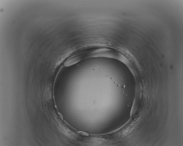 X0000062890393200601171519