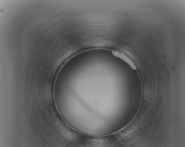 X0000062890394200601171519