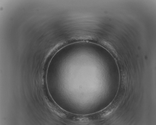 X0000062890395200601171519