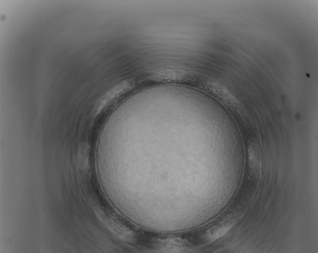 X0000062890396200601171519