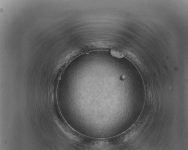 X0000062890398200601171519