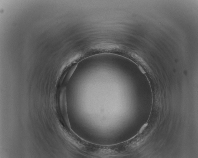 X0000062890399200601171519