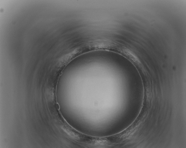 X0000062890401200601171519