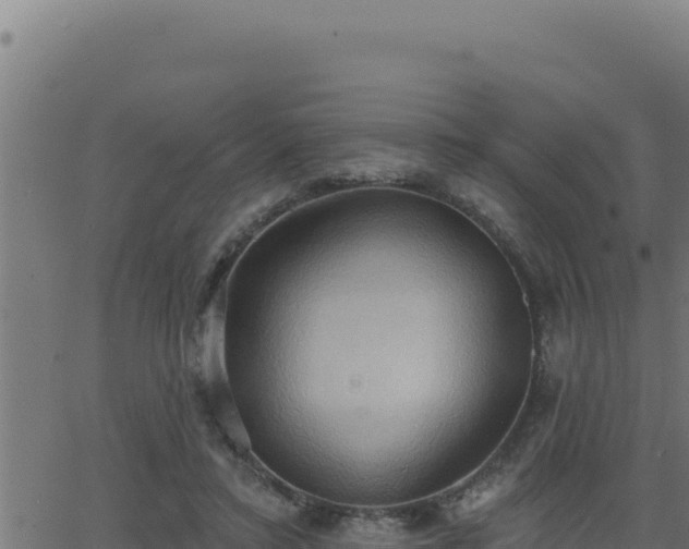 X0000062890403200601171519