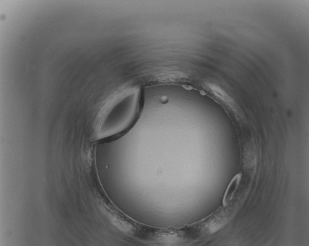 X0000062890405200601171519