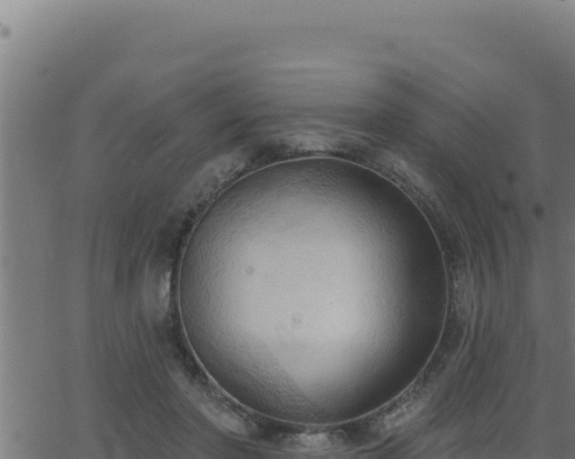 X0000062890406200601171519