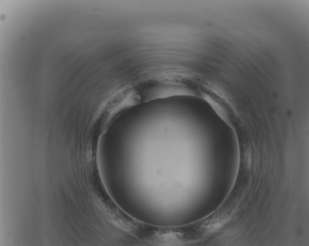 X0000062890407200601171519