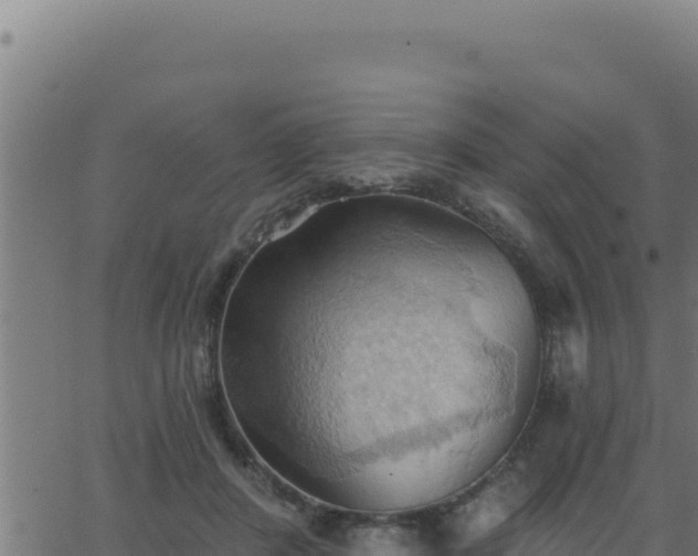 X0000062890408200601171519