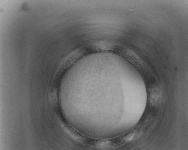 X0000062890410200601171519