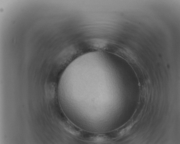 X0000062890412200601171518