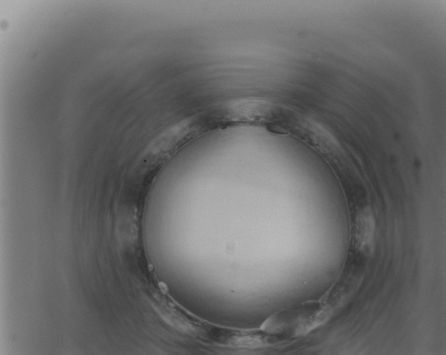 X0000062890413200601171518